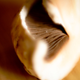 Illustration for article titled Shooting Challenge: Macro Gallery 2